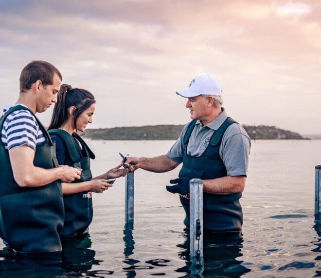 Discover port lincoln port lincoln hotel