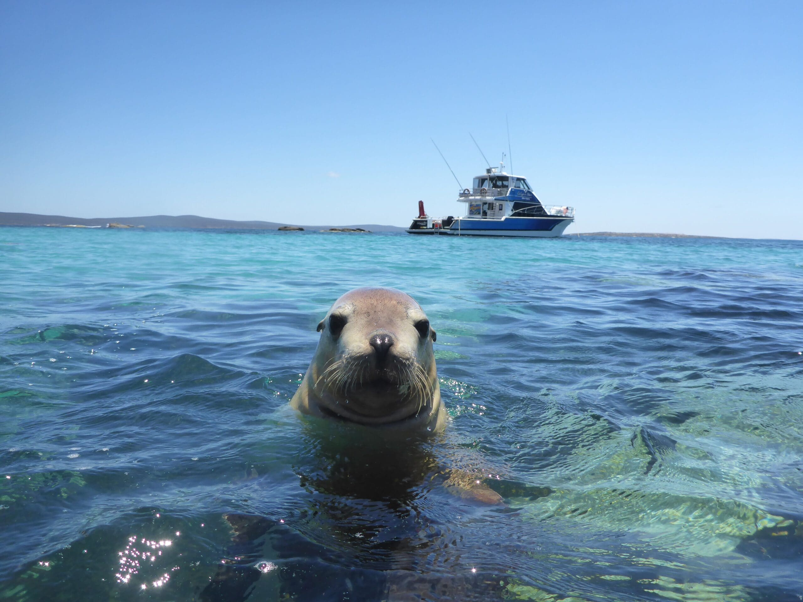 Discover port lincoln port lincoln hotel