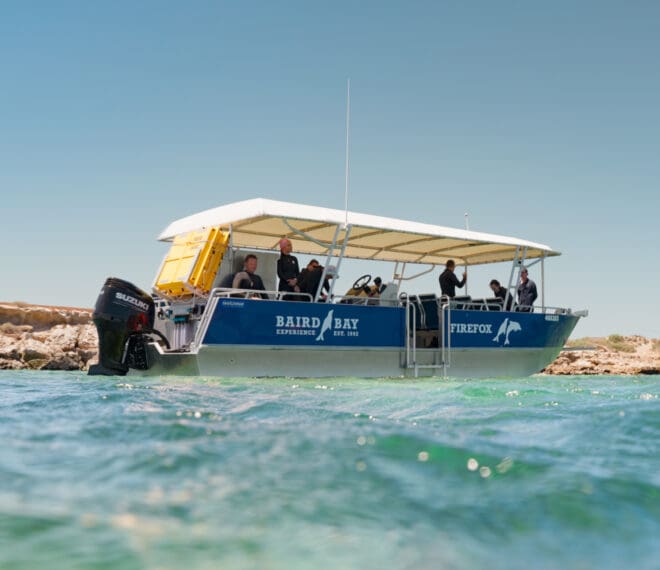Discover Port Lincoln 15 Discover port lincoln port lincoln hotel